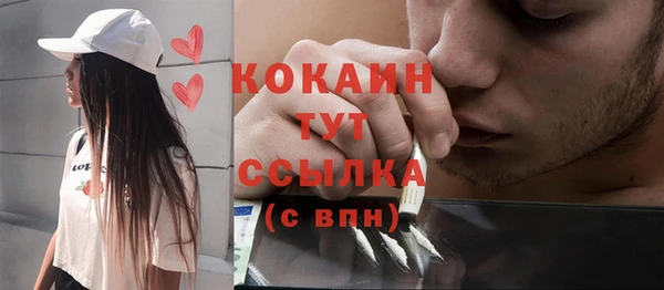 спайс Снежногорск