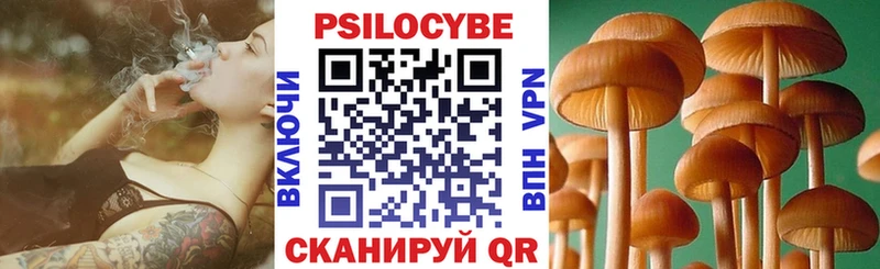 блэк спрут вход  Краснокамск  Галлюциногенные грибы Cubensis 